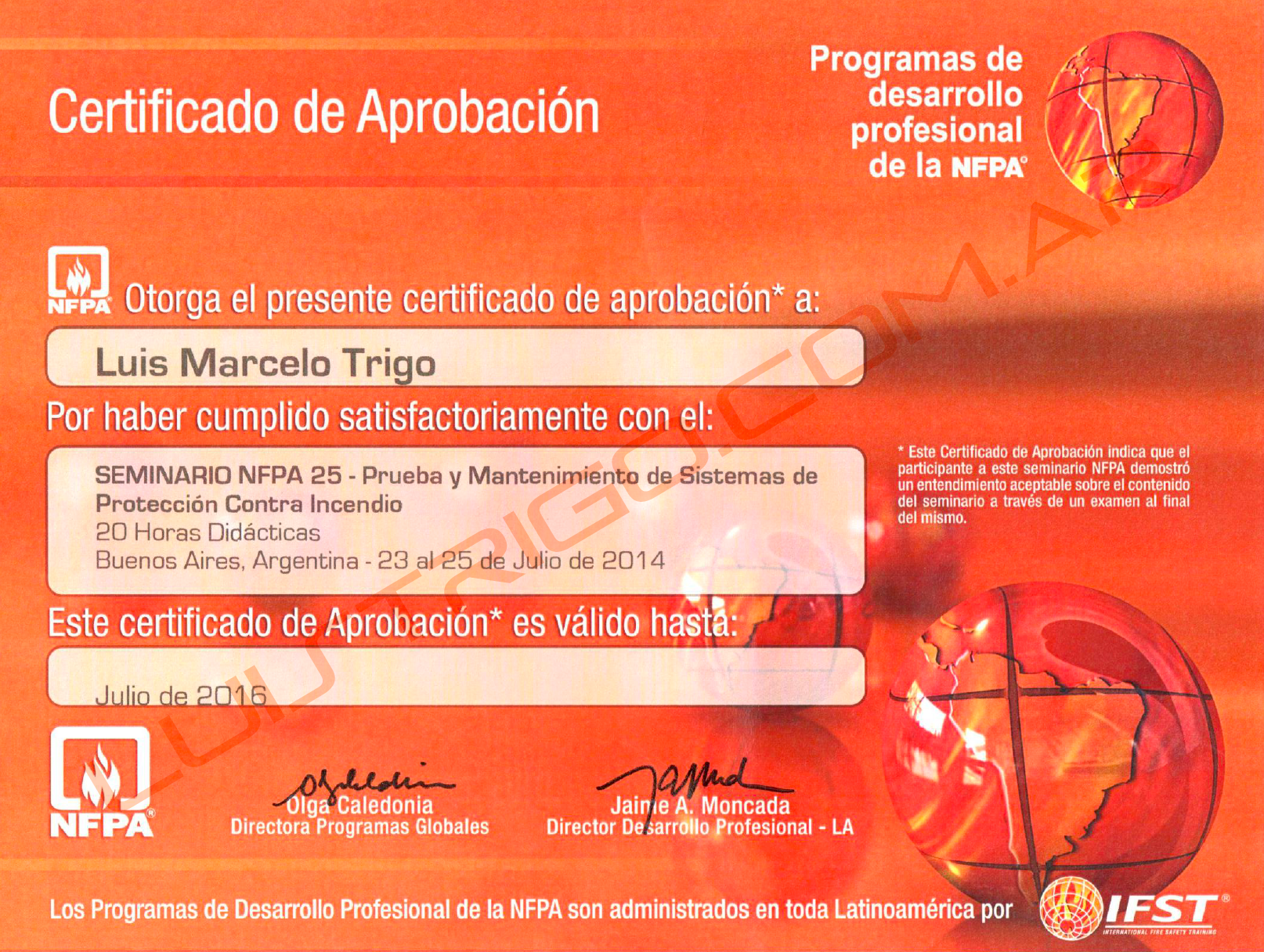 Seminario NFPA 25